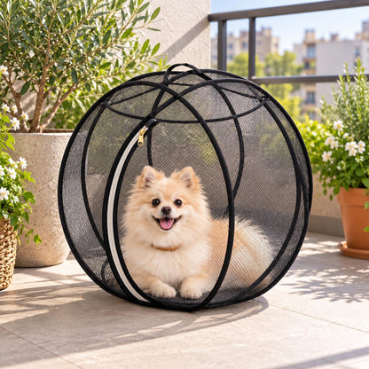 Black mesh bubble playpen with a small cream Pomeranian on a balcony, away from the edge. AI-generated product scene.